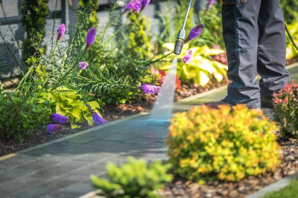 Spring Cleaning in Litchfield Beach, SC
